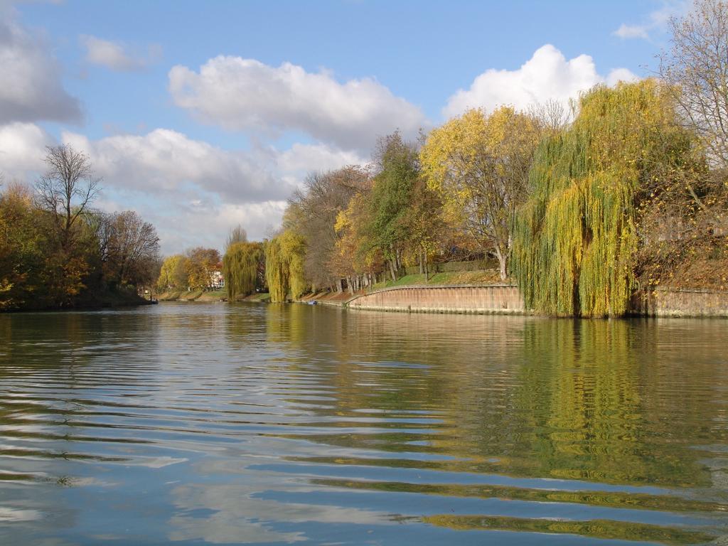 Chambre Avec Jardin Pierre Curie Bry-sur-Marne Rom bilde