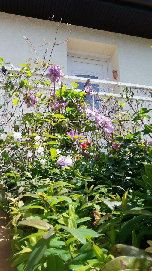 Chambre Avec Jardin Pierre Curie Bry-sur-Marne Eksteriør bilde