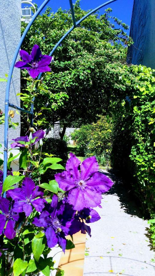 Chambre Avec Jardin Pierre Curie Bry-sur-Marne Eksteriør bilde